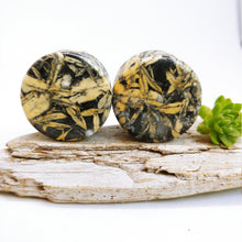 Charger l'image dans la galerie, 1" Golden Pinolith plugs