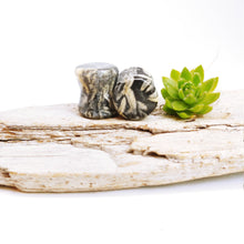 Charger l'image dans la galerie, 00g (10mm) Golden Pinolith plugs