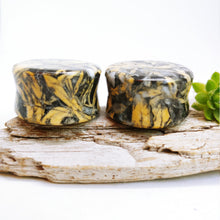 Charger l'image dans la galerie, 1" Golden Pinolith plugs