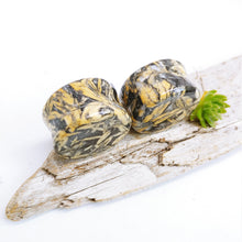 Charger l'image dans la galerie, 1" Golden Pinolith plugs