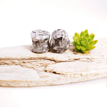 Charger l'image dans la galerie, 7/16" Golden Pinolith plugs