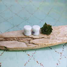 Charger l'image dans la galerie, 00g (9mm) Pegmatite plugs