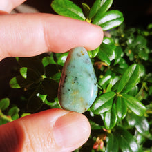 Charger l'image dans la galerie, Unknown blue stone custom made to order plugs