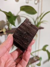 Indlæs billede til gallerivisning Petrified druzy wood from Germany custom plugs

