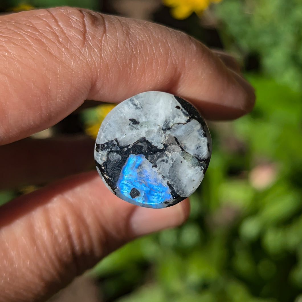 Rainbow Moonstone custom plugs