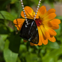 Load image into Gallery viewer, Nuummite freeform pendant
