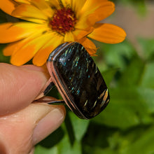 Lade das Bild in den Galerie-Viewer, Nuummite sterling silver ring size 10
