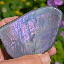 Lade das Bild in den Galerie-Viewer, Purple pink Labradorite custom plugs
