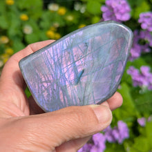 Lade das Bild in den Galerie-Viewer, Purple pink Labradorite custom plugs
