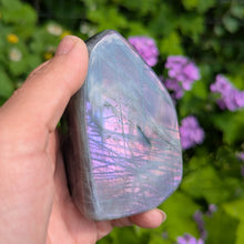 Lade das Bild in den Galerie-Viewer, Purple pink Labradorite custom plugs
