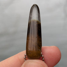 Ladda upp bild till gallerivisning, Forest Crystal pendulum pendant
