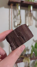 Indlæs og afspil video i gallerivisning Petrified druzy wood from Germany custom plugs
