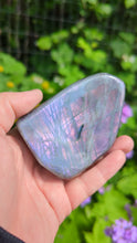 Laden und Abspielen von Videos im Galerie-Viewer, Purple pink Labradorite custom plugs
