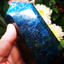 Lade das Bild in den Galerie-Viewer, Blue Apatite custom made to order plugs
