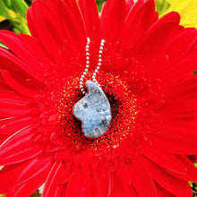 Load image into Gallery viewer, Larvikite wing pendant
