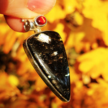 Charger l&#39;image dans la galerie, Nuummite with Pyrrhotite inclusions paired with Garnet
