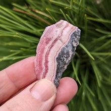 Charger l&#39;image dans la galerie, Rhodochrosite from Argentina slice - small
