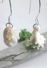 Load image into Gallery viewer, Coral 925 silver ear weights
