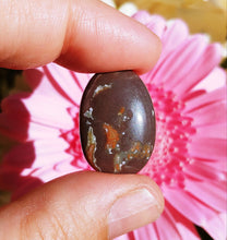 Load image into Gallery viewer, Dryhead Agate freeform cabochon
